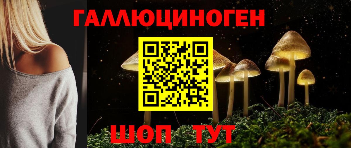 Горно-Алтайск  Галлюциногенные грибы MAGIC MUSHROOMS  Вход с VPN  Галлюциногенные грибы мухоморы 